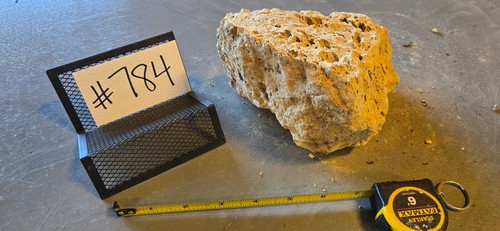 Medium pumice stone - pumice,