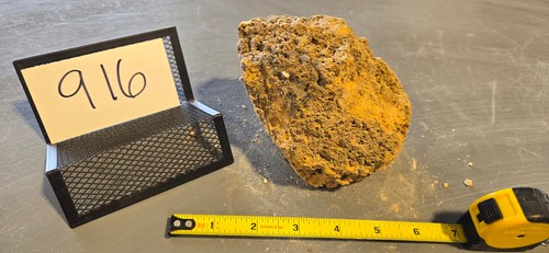 Small pumice stone floating - small,