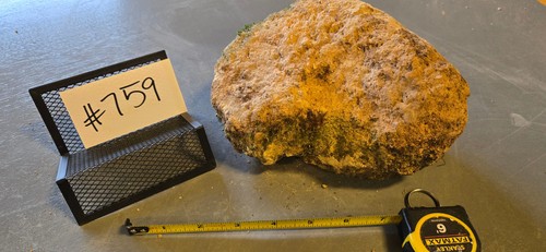 Medium pumice stone - 6.5",