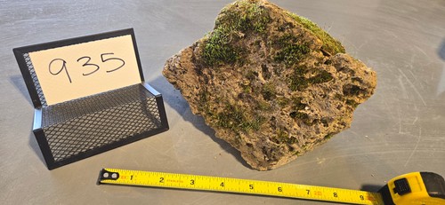Medium pumice stone - 6.5",