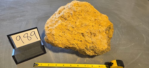 Xlarge pumice stone - pumice,